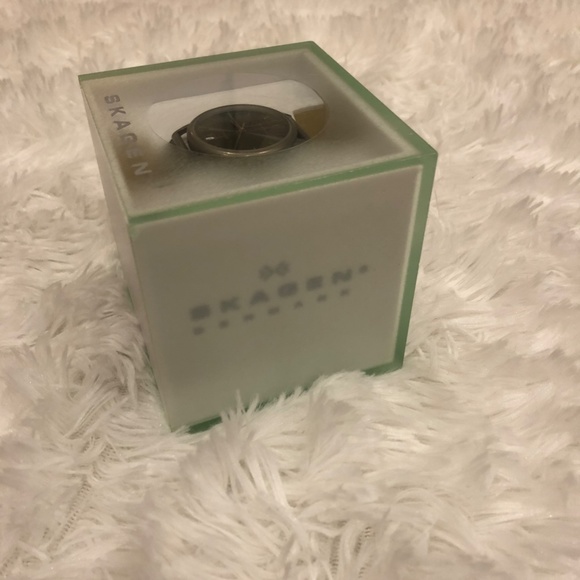 Skagen Titanium Watch - Picture 2 of 14